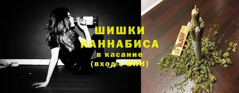 Каннабис OG Kush  Менделеевск 